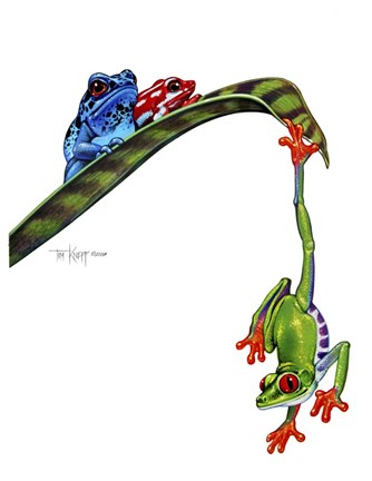 Framed Frogs Hanging Out Print