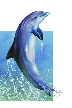 Framed Jump Dolphin Print
