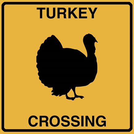 Framed Turkey Crossing Print