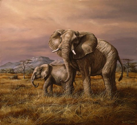 Framed Mother and Child (Elephants) Print