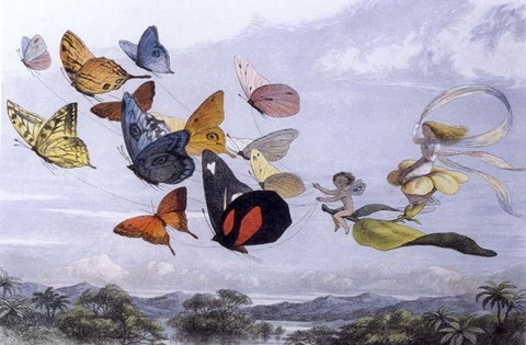 Framed Fairy Butterflies 1 Print