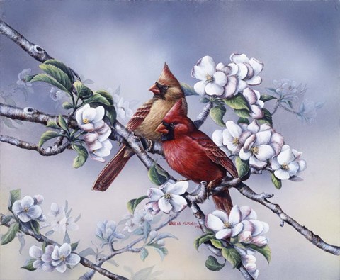 Framed Spring Cardinals Print