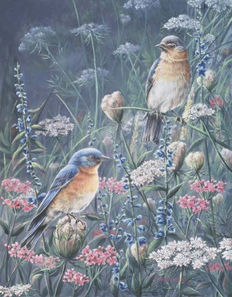 Framed Bluebird And Wildflowers Print