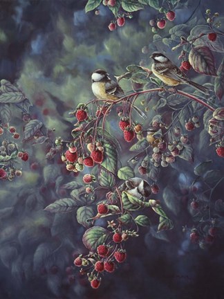 Framed Red Raspberries And Chickadees Print