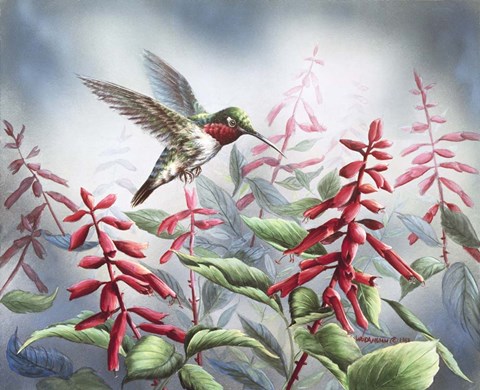 Framed Summer Hummingbird Print