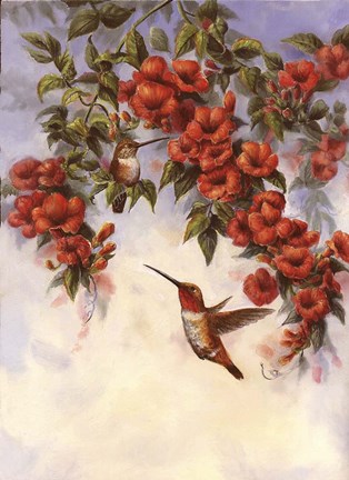 Framed Hummingbird E Print