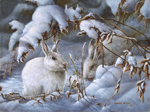 Framed Winter Hares Print