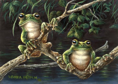 Framed Frogs Print