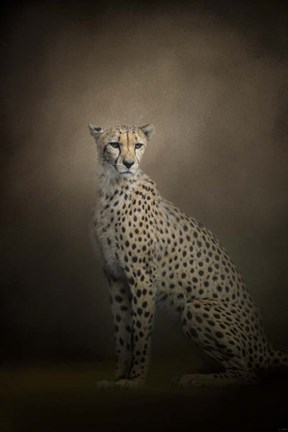 Framed Elegant Cheetah Print