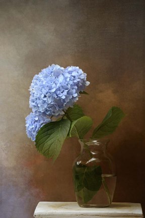 Framed Blue Hydrangea In A Vase Print