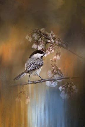 Framed Chickadee In The Garden Print