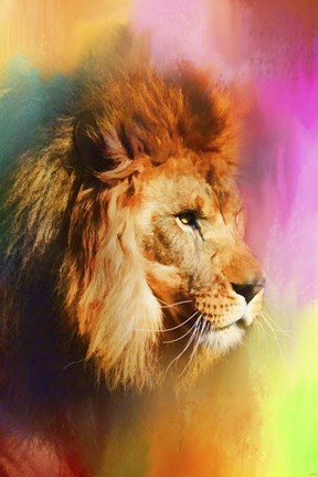 Framed Colorful Expressions Lion Print