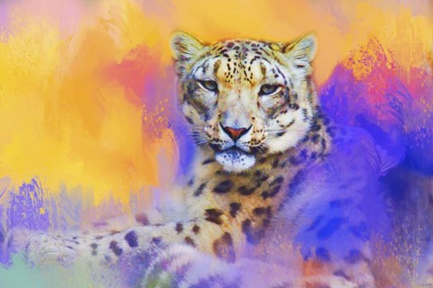 Framed Colorful Expressions Snow Leopard Print