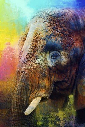 Framed Colorful Expressions Elephant Print