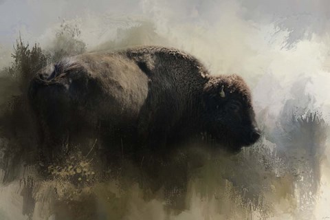 Framed Abstract American Bison Print
