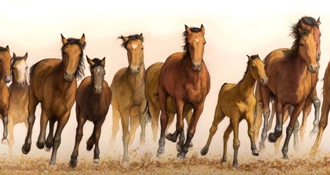 Framed Running Horses Print