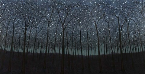 Framed Starry Trees Print