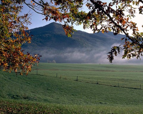 Framed Cades Cove Print