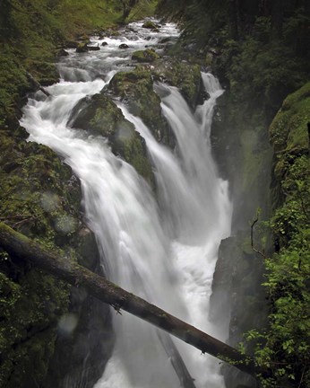 Framed 241 Olympic NP Print