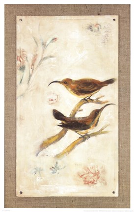 Framed Long-Billed Sunbird Print