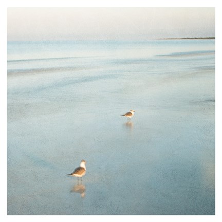 Framed Two Birds on Beach Print