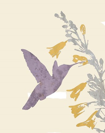 Framed Hummingbird and flowers Print