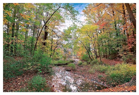 Framed Autumn at Hopkins Pond Print