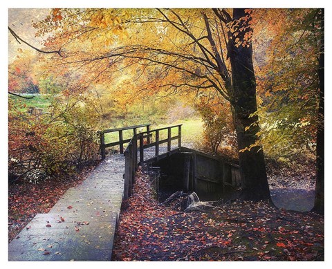 Framed Foot Bridge Print