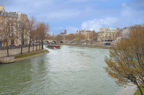 Framed Seine River In Paris Center Print