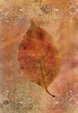 Framed Picked Up Autumn Leaf I Print