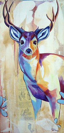 Framed White Tail Deer Print