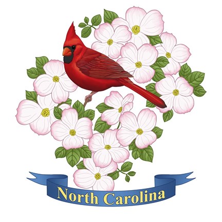 Framed State Bird And Flower NC Print