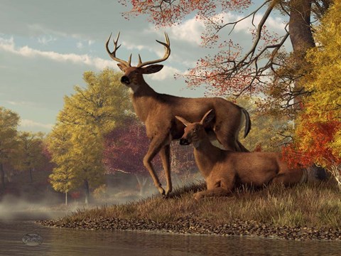 Framed Deer On An Autumn Lakeshore Print