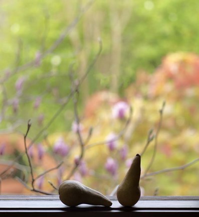 Framed Still Life with Pears and the Magnolia Trees Beyond Print