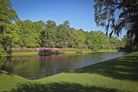 Framed Middleton Place 1, SC Print