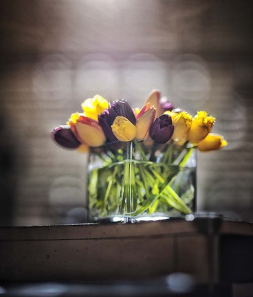 Framed Cut Tulips On Edge Of Table Print