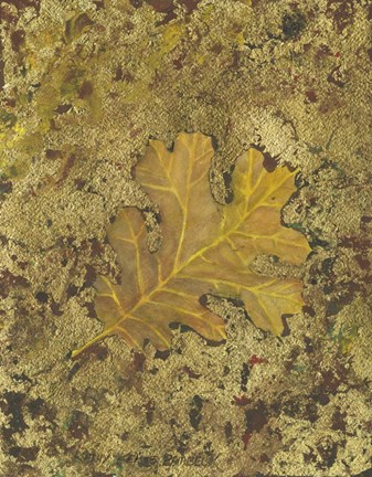 Framed Oak Leaf Print