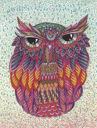 Framed Amazing Owl Print