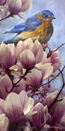 Framed Bluebird Magnolias Print