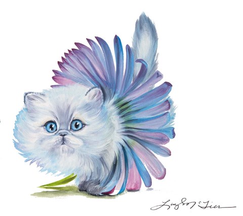 Framed Kitten Ballerina Daisy Flower Stare Persian Cat Print