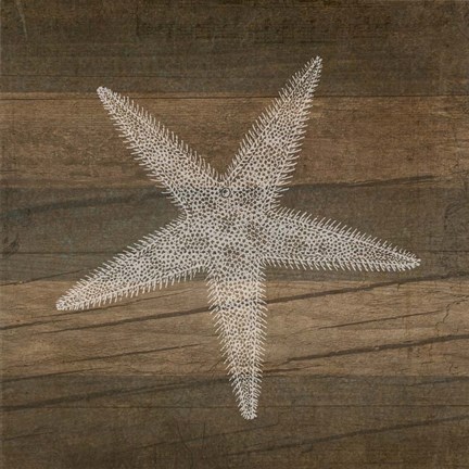 Framed Rustic Starfish - White Print
