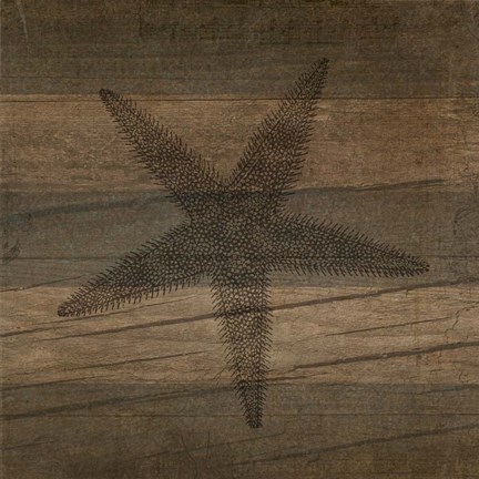 Framed Rustic Starfish Print