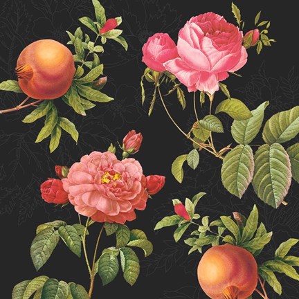 Framed Pomegranates and Roses I Print