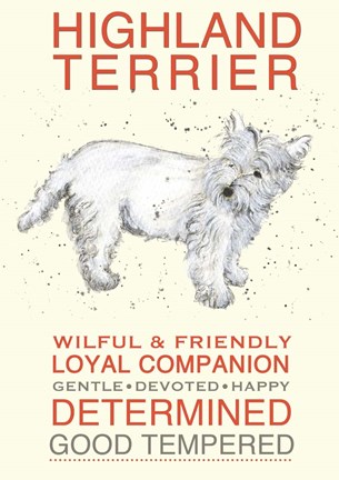 Framed Highland Terrier Print