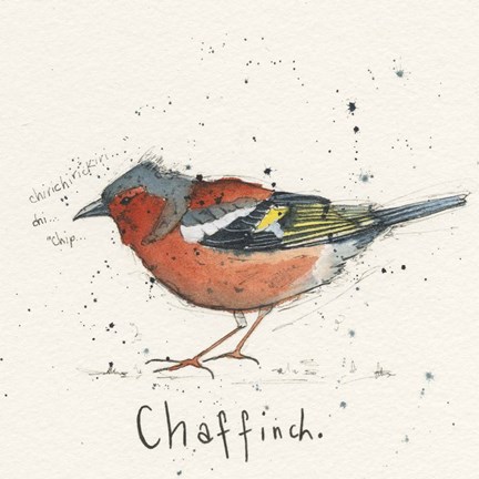 Framed Chaf Finch Print