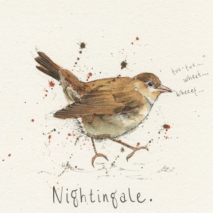 Framed Nightingale Print