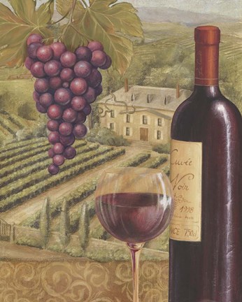 Framed French Vineyard IV Print