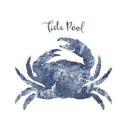 Framed Tide Pool Crab Print