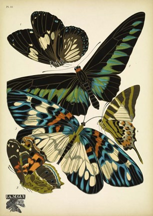 Framed Papillons 10 Print