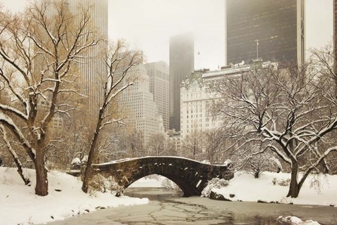 Framed Central Park Bridge Print